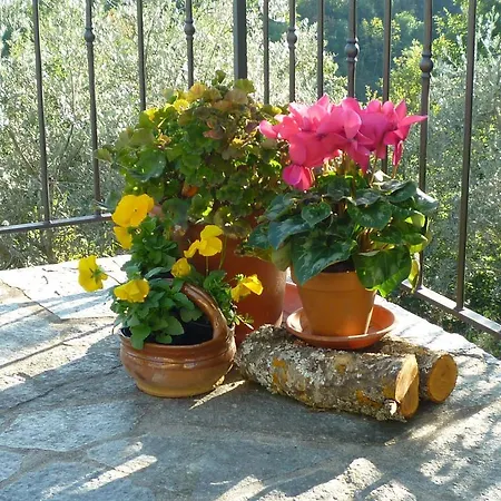Farm stay Casa Giulia