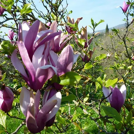 Farm stay Casa Giulia
