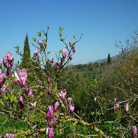 Farm stay Casa Giulia Reggello